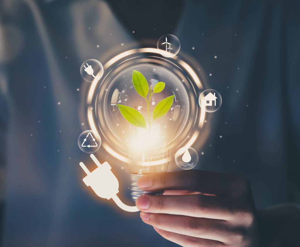 Hand holding light bulb with power plug and show trees, renewable energy icons with sustainable development.